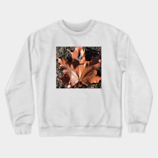 Orange leaf, autumn Crewneck Sweatshirt